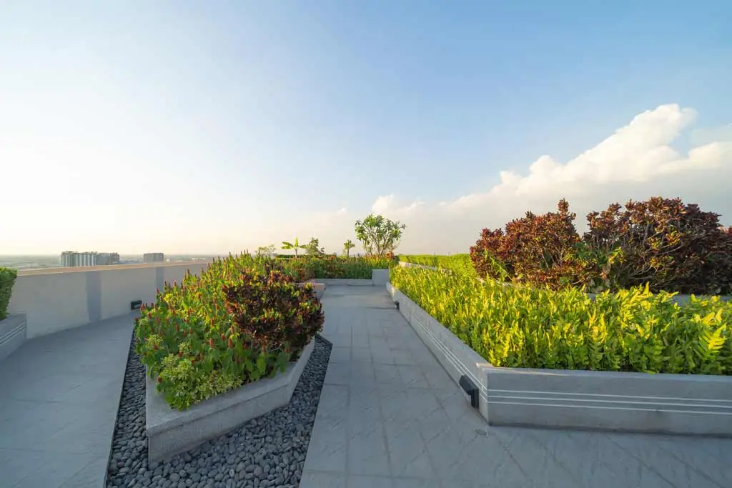 Sky gardens or roof top gardens can be maintained easily by Fidato Property Maintenance