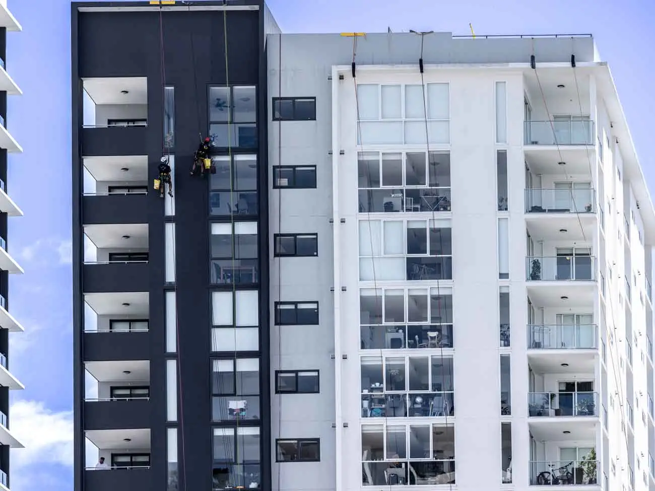 The professional rope access crew of Fidato Services on ropes at Unison Apartments Newstead Brisbane